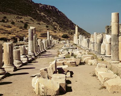 View of the Columns on the Upper Market Agora by Roman